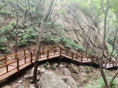 -大岭沟猕猴桃谷风景区