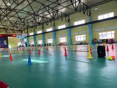 -长春乐奇平衡车儿童体能运动中心