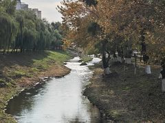 -黛秀湖公园