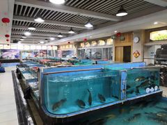 水产区-喜悦海鲜大酒楼(钱柜广场店)