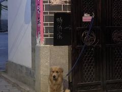 -南诏风情岛