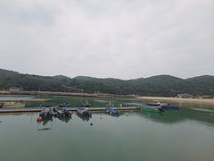 -东澳岛