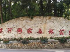 -广州市流溪河国家森林公园