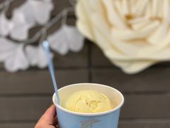 香草单球-八喜G’nature冰淇淋旗舰店