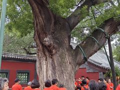 -晋祠公园