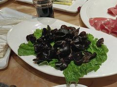 -清真军邺·金富苑肥牛(石坡街旗舰店)