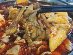 牛肚-老红桥炸灌肠牛肚锅烧烤(定福庄店)