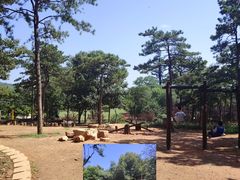 -北京西山国家森林公园