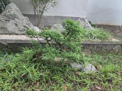 -渌洋湖湿地公园