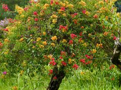 -白云山风景名胜区