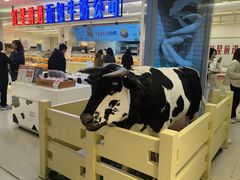 -红星前进面包牛奶公司(君太店)