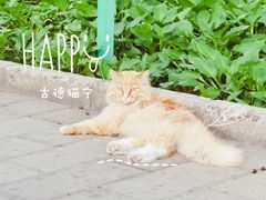 -北京市劳动人民文化宫