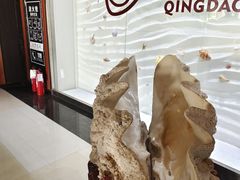 -青岛贝壳博物馆