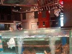 -阿伟海鲜楼·福建菜(延寿店)