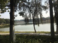 -东莞植物园