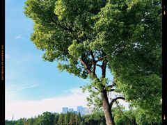 -山明水秀大饭店