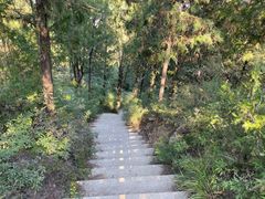 -北京西山国家森林公园