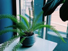 -半山腰·云南菜(侨福芳草地店)