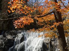 -丹东天桥沟景区