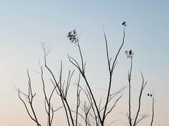 -采石矶景区