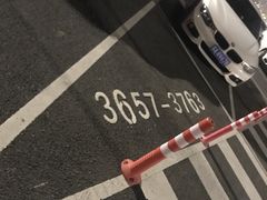 -迪士尼乐园停车场