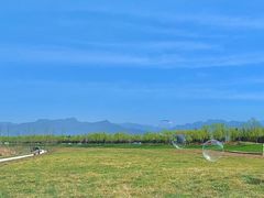 -洨河生态公园