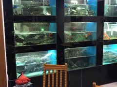 -全乐鱼馆·淳牌有机鱼直营店