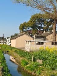 -水八仙生态园