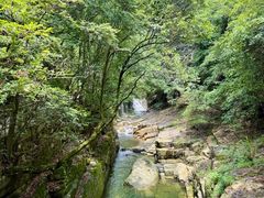 -大鄣山卧龙谷景区