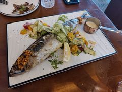 -haxnbauer海森堡德国餐厅(深圳coco店)