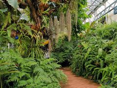 -国家植物园南园