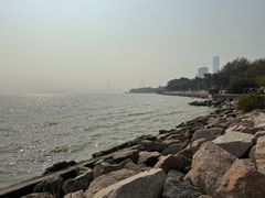 -深圳湾公园(南山区)