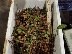 -竹泉农庄·竹筒饭(从化店)