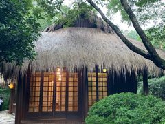 -中国茶叶博物馆(双峰馆区)