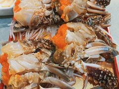 酱蟹-渔娘渔家丹东海鲜(东直门店)