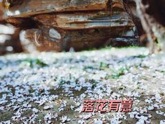 -颐和园