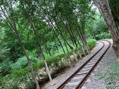 -西青郊野公园