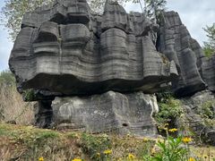 -梭布垭石林景区