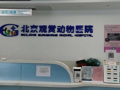 -北京观赏动物医院·24小时大型综合·猫专科·异宠专科
