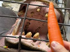 -昆明动物园
