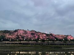 -中国宜宾·长江地标广场