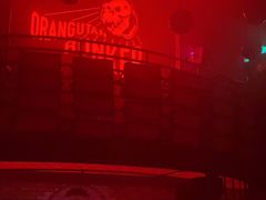 -Orangutan Bunker猩猩地堡酒吧(兰桂坊店)