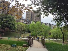 -沐仙湖湿地公园