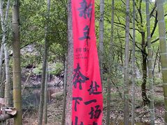 -楠溪江石桅岩