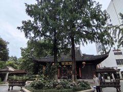 -常州古运河南大街文化旅游区-人民公园