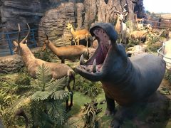 -陕西自然博物馆