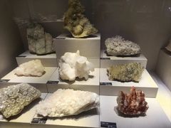 -河南自然博物馆