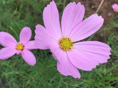 -白鹭湾湿地公园