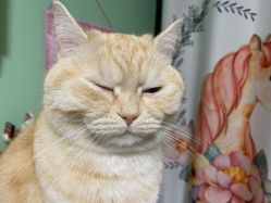 -齐伽生活馆·瑜伽·普拉提·阿育吠陀