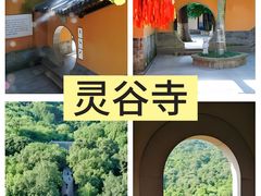 -灵谷景区